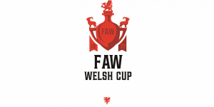 Welsh Cup 2011-2012
