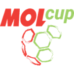 Tschechischer Cup 2024-2025