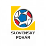Slovenský Pohár 2024-2025