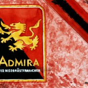 Einst dauerverletzt, nun Leistungsträger: Daniel Toth ist Admiras Mittelfeld-Metronom
