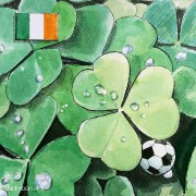 Die Kommentare der Fans vor dem Auswärtsspiel in Irland: „Kleinigkeiten werden entscheidend sein“