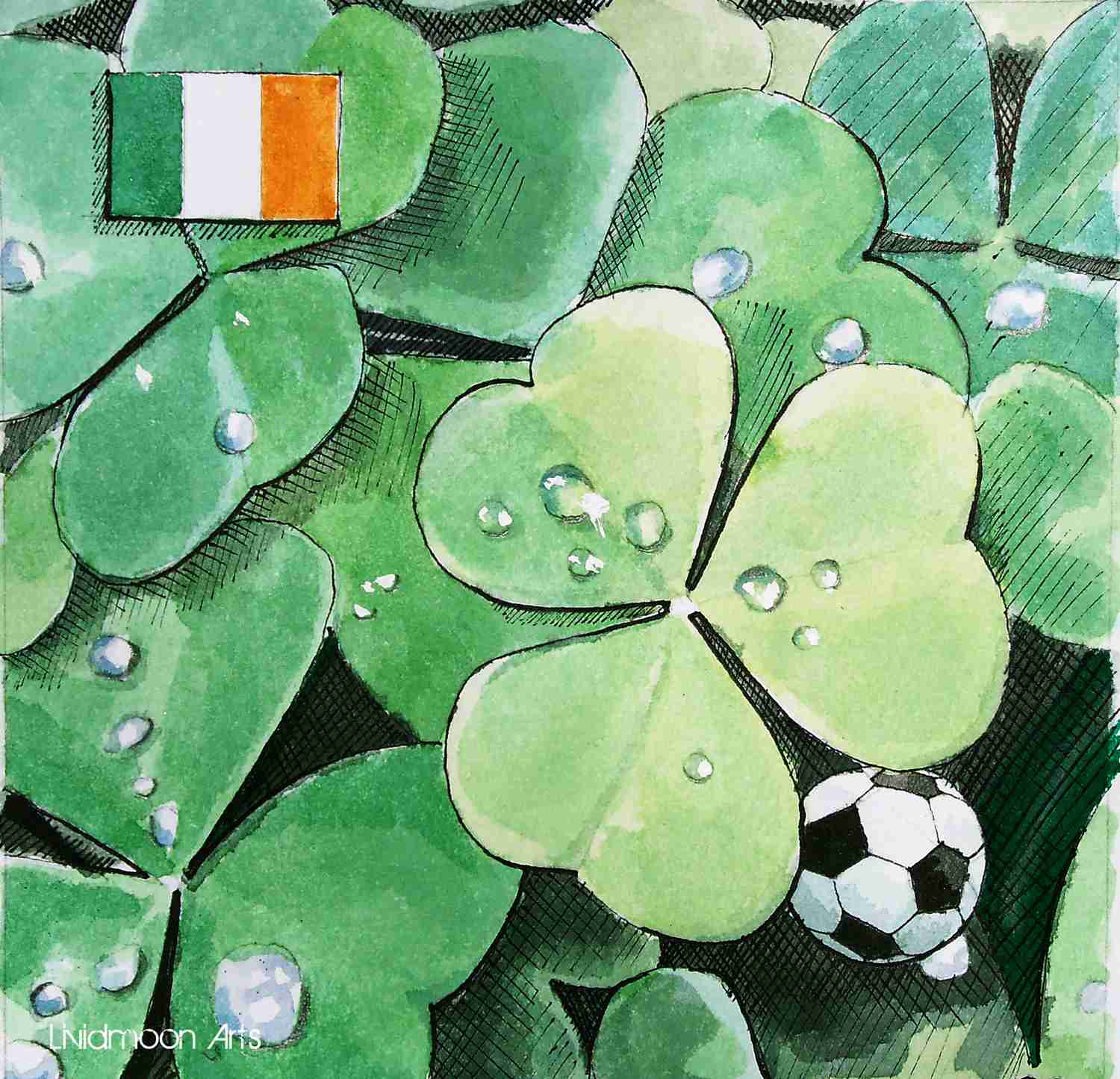 _Fußball in Irland Kleeblätter