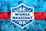 SC Wiener Neustadt Manager Günter Kreissl im Interview: "Mir wird nicht fad..."