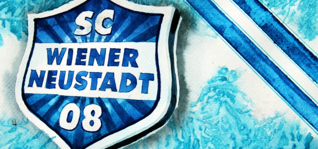 Saisonrückblick: Der SC Wiener Neustadt und der schwere Gang in die sky go Erste Liga