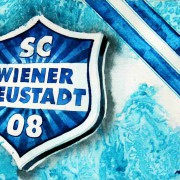 Wiener Neustadt rüstet clever auf, Schalke sichert sich französisches Offensivtalent