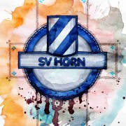 SV Horn: Regionalliga statt Champions League