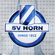 SV Horn – der Aufsteiger und sein Traum von der Champions League