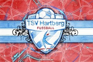 TSV Hartberg nimmt Sturm-Offensivspieler Amady Camara ins Visier