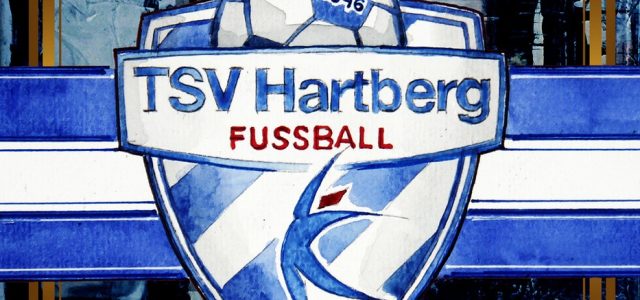 Ibane Bowat wechselt zum TSV Hartberg