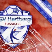 Tops & Flops 2021/22: TSV Hartberg