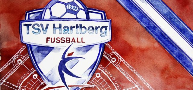 Saisonrückblick 2020/21: Tops, Flops & Stats zum TSV Hartberg