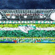 Rapid-Fans: „Vollkommen verdient die Mattersburger überrollt“