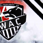 WAC leiht Dejan Joveljic von Eintracht Frankfurt